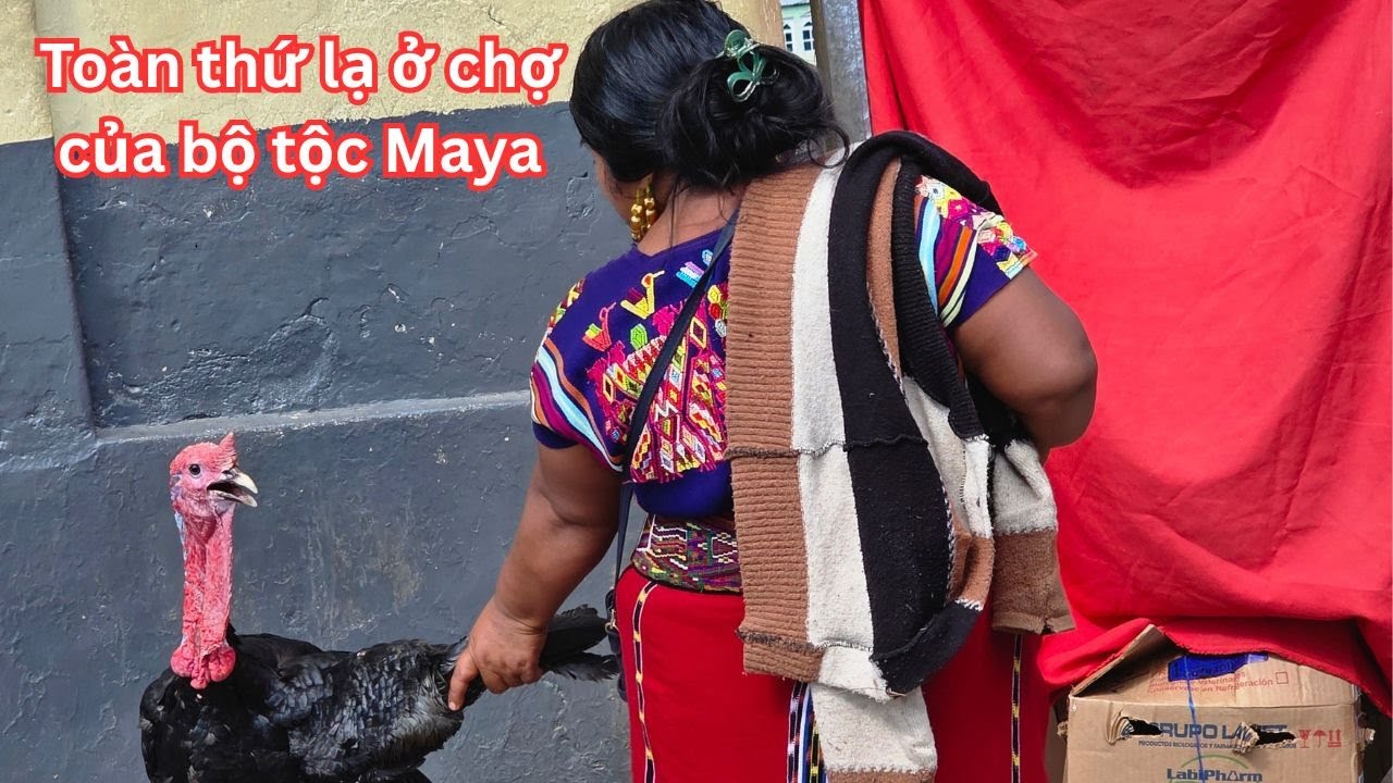 Bất ngờ ở khu chợ to nhất châu Mỹ của bộ tộc Maya